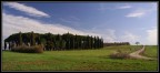 isola di pini