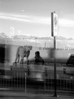 Un leopardo tra le montagne...
