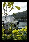 Primavera all'imbarcadero