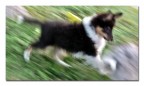 ...blurry...