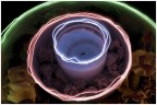 Lightpainting e natura morta