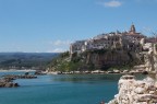 Il mio paese