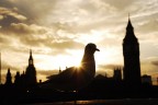 londra2