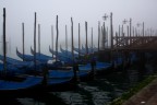 E' un po' sottoesposta. Vero? Solo che era ormai il tramonto e poi la nebbia non aiutava.
Focale: 28mm
Diaframma: 3,5
Velocità otturatore: 1/25 sec
ISO-400
