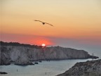il soggetto era il tramonto, lui mi si è presentato davanti un'attimo prima dello scatto.
