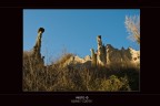 FOTO SCATTATA CON NIKON D 300
SUGGERIMENTI SEMPRE BEN ACCETTI!!!!