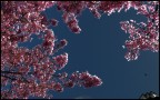 beyond