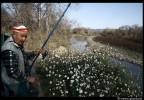 Il pescatore perplesso