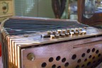 La Fisarmonica