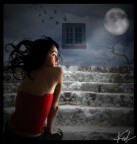moonlight