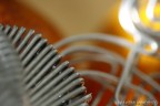 macro
