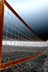The Net