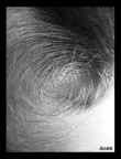 Vortice?