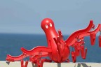 Octopus in Bari