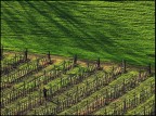 Lavori di Marzo