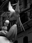 Un uccello "speciale"