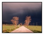 ...La Strada...