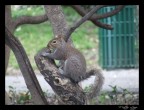 Parco comunale di Nervi (GE)