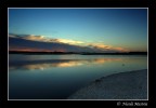 Riflessi