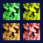AsterWarhol