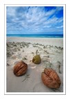caribbean beach