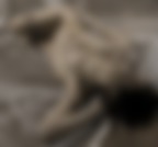 900