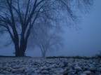 in una domenica di nebbia, come in un'acquario