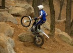 Trial