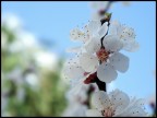 Spring 01