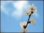 Spring 02