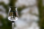 riflessi