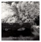 Il ponte oscuro