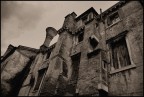 chioggia