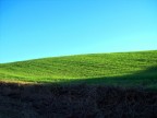 Primavera in collina 2007