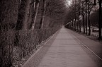 Lines