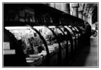Libreria Nanni Bologna