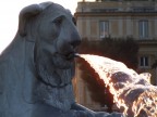 Fuoco a Roma