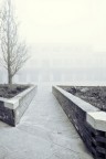 Alberi 03