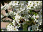 1/400 ISO 100 F7.1 ESP0.0