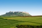 un d di primavera