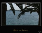 Scorcio di mar