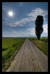 Strada facendo