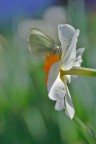 Voglia di colore