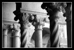 diversit