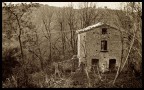 Trovata per caso in una passeggiata sui promontori calabresi!