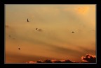 proprio nelle notte di Pasqua, Bruna, la mamma di Clara Ravaglia  volata in cielo....un pensiero per lei ed una carezza al dolore della nostra Clara....