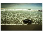 Mare Solo