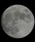 Pentax K10D, 1000mm + 2X, 1600 ISO, 1/350, unione di due foto