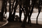 Quanto mi piace camminare sul muretto!!!