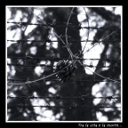 Tra la vita e la morte Tra la vita e la morte